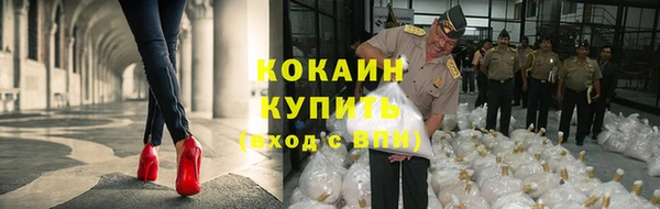 сатива Протвино