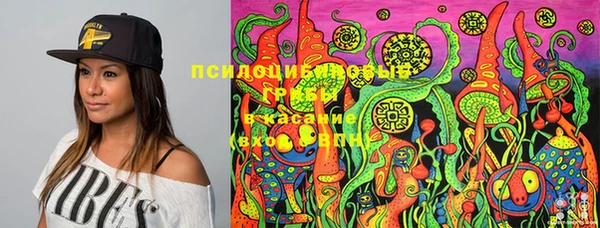 сатива Протвино