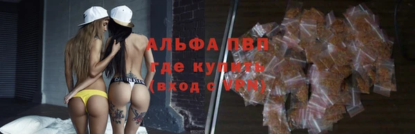 сатива Протвино