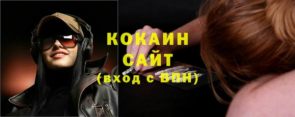 сатива Протвино