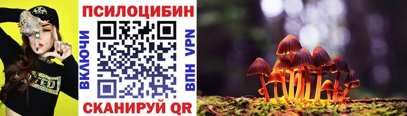 Галлюциногенные грибы Psilocybe  Ростов 